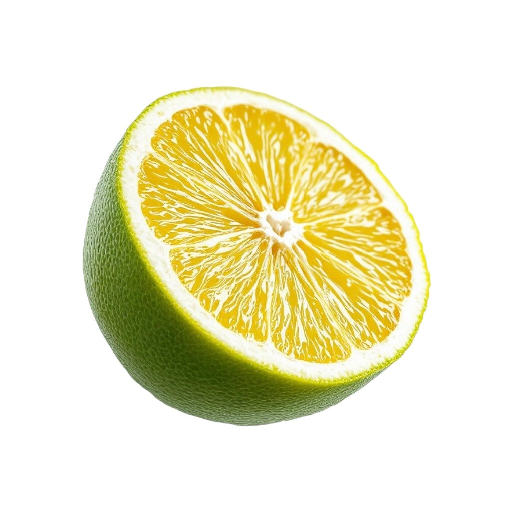 SV302: BERGAMOT