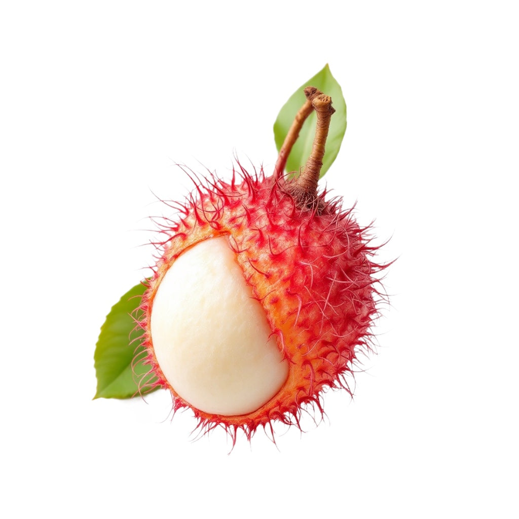 SV502: Exotic Lychee