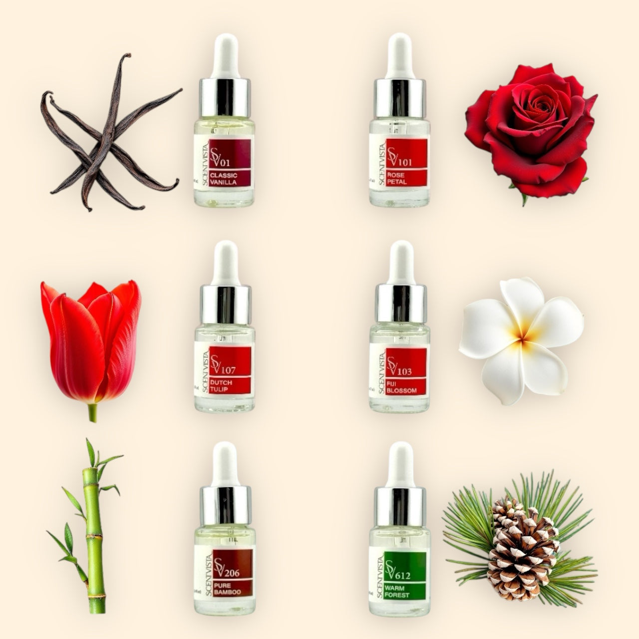 Collection of scent dropper bottles with natural elements on a beige background